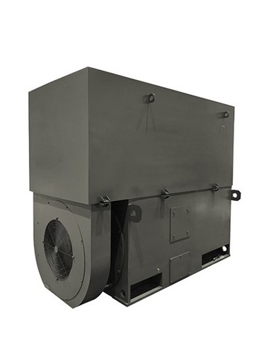 High Voltage AC Power Plant Motor
